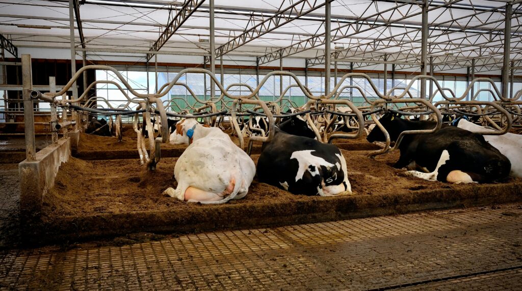 Central Milking Machines